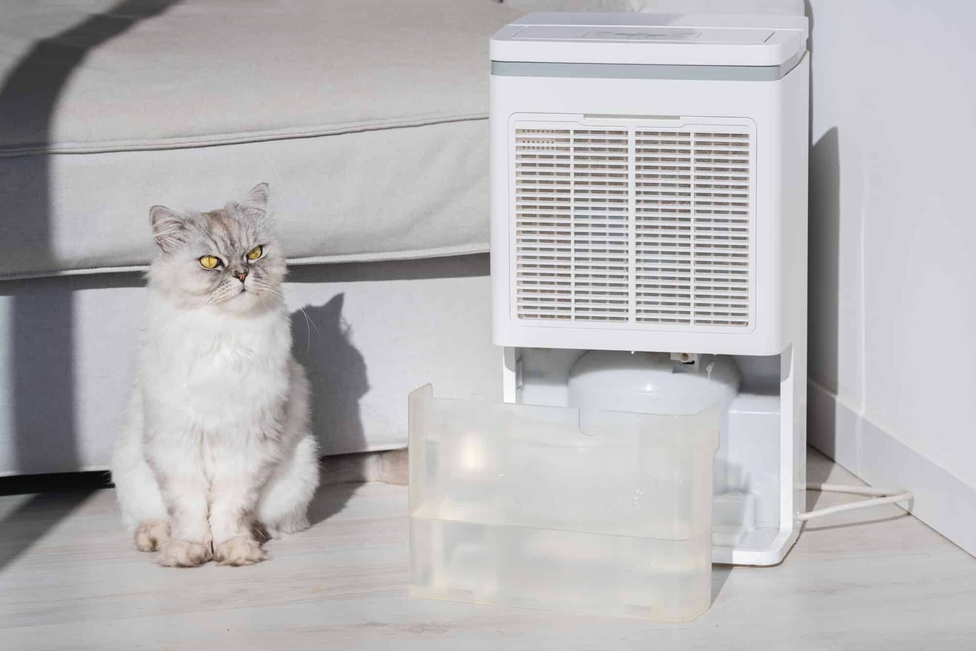Indoor Air Quality Dehumidifier
